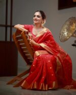 Banarasi Tissue Semi Silk Collection - Image 5